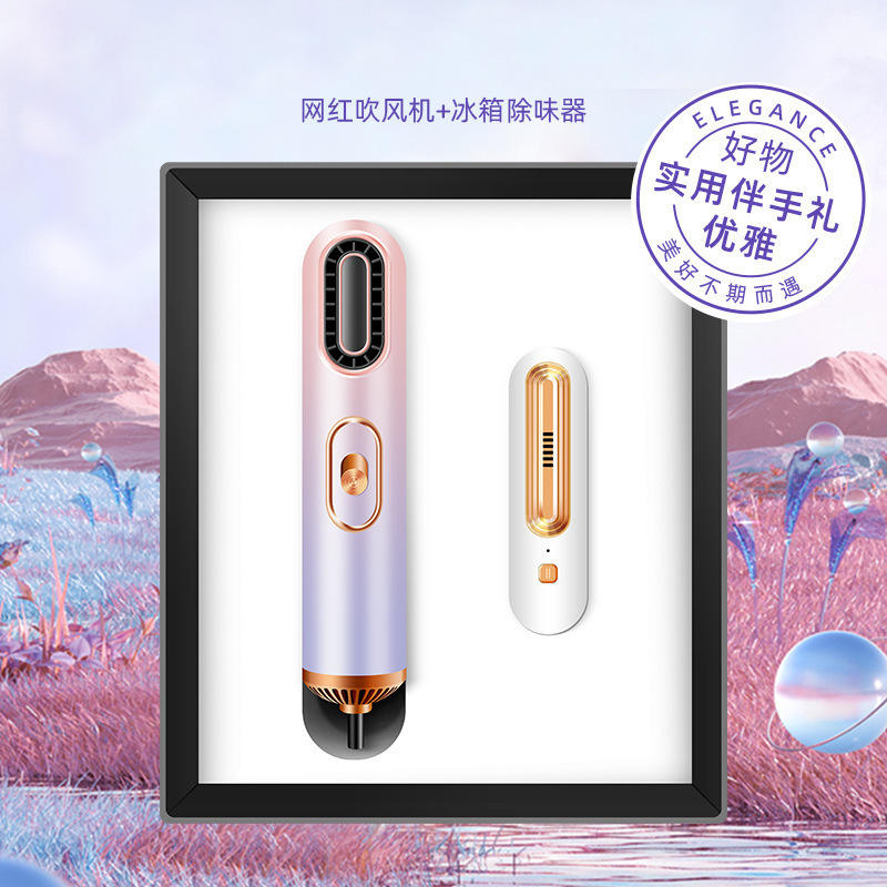 เครื่องเป่าผมและเครื่องกำจัดกลิ่นในตู้เย็น - ชุดของขวัญสองชิ้น