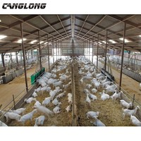Structure en acier léger pour étable à moutons, ferme d'élevage de bovins, construction d'étable à vaches