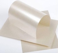 Film protecteur en silicone à haute adhérence 21200, à base de silicone, pour le rejet de déchets, compatible avec le film de protection au fluor