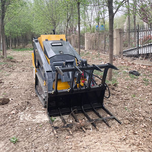 Бесплатная доставка: Мини-погрузчик на гусеничном ходу с дизельным двигателем (CE, EPA) для ландшафтных работ, строительства и сельского хозяйства - Product Image 2