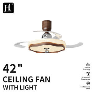 Ventilador de Techo LED con Control Remoto de 220V con Bluetooth para Comedor y Dormitorio, Aplicación Interior, Motor BLDC de Cobre, Nuevo Diseño - Product Image 3