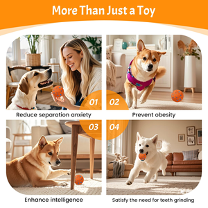 2026 High Quality Smart Pet Toy Rolling <b>Ball</b> <b>Dog</b> Motion Activated Rechargeable Interactive Pet <b>Dog</b> Toy <b>Ball</b> with Remote - Product Image 3