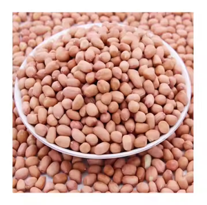 Cacahuetes sin Cáscara Blancos de Primera Calidad, Granos de Cacahuete Crudos para Procesamiento de Snacks y Suministro de Ingredientes Alimenticios - Product Image 2