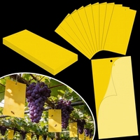 Hete Aanbieding: Gel-klittenplaten voor insectenbestrijding, voor thuis & tuin