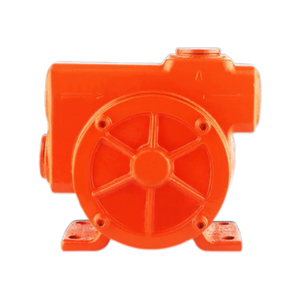 Nueva Bomba Autocebante de Hierro Fundido de 12V y 100L de Alto Flujo - Bomba Eléctrica para Transferencia y Dispensación de Diésel/Queroseno - Product Image 2