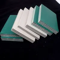 Lastra di plastica cassaforma pannello a parete pannelli per casseforme in calcestruzzo cassaforma semplice
