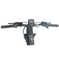 26 pouces alliage de magnésium intégré roue gros pneu ebike avec 350W mi moteur d'entraînement