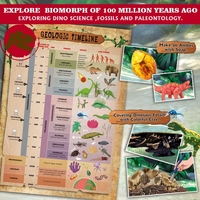 BIG BANG SCIENCE Fabricante de Juguetes ODM/OEM, Kit de Paleontología de Dinosaurios para Niños, Excavación de Fósiles, Fabricación de Ámbar, Juguete Educativo