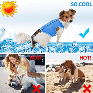 Pet Dog <b>Cooling</b> Vest <b>Jacket</b> for Small Large Dogs Cats Summer Outdoor Walking Training Adjustable Pet Chest <b>Cooling</b> Vest <b>Jacket</b> - Product Image 4