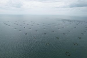 Augmentez vos revenus en aquaculture ! Nos cages à poissons en HDPE transforment un investissement judicieux en un retour sur investissement stable et élevé. - Product Image 4