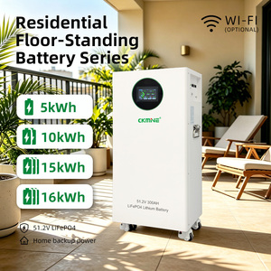 Batería de Litio de 15kwh, 8000+ Ciclos, 51.2V 48V 300Ah, Celdas de Grado A, para Sistema de Almacenamiento de Energía con Inversor Solar de 6kw <span class=keywords><strong>8kw</strong></span> 10kw 12kw - Product Image 4