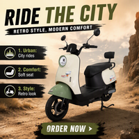 Scooter Eléctrico de Dos Ruedas con Batería de Plomo-Ácido, 350W 48V, Largo Alcance, Motocicleta Eléctrica Económica, Bicicleta Eléctrica Urbana