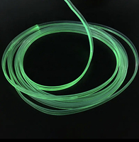 Bande de guidage de lumière de bord de jupe en PTFE de 2.0mm Fibre optique en plastique flexible pour l'éclairage de voiture