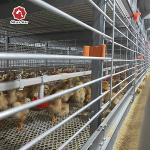 Capa <span class=keywords><strong>de</strong></span> jaula <span class=keywords><strong>de</strong></span> codorniz, jaula <span class=keywords><strong>de</strong></span> pollo para granja <span class=keywords><strong>de</strong></span> pollos <span class=keywords><strong>de</strong></span> <span class=keywords><strong>Guinea</strong></span> - Product Image 4