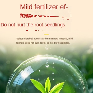 Agent microbien agricole Bacillus Subtilis <span class=keywords><strong>Engrais</strong></span> <span class=keywords><strong>organique</strong></span> pour les fleurs et les plantes en général - Product Image 4