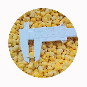Precio de fábrica con <span class=keywords><strong>verduras</strong></span> <span class=keywords><strong>IQF</strong></span> de alta calidad, maíz amarillo dulce congelado a la venta - Product Image 4