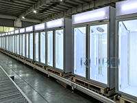 Vertical Commercial -22 ℃    Congélateurs verticaux avec porte vitrée, congélateur profond, réfrigérateur