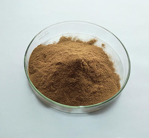 Натуральный экстракт листьев перечной мяты органический сухой экстракт листьев перечной Мяты порошок - Product Image 2