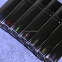 OEM Logo personnalisé Haute pigmentation Marque privée Imperméable Végétalien Sans cruauté Animale Finition Métallique Scintillante Black Vibe Velvet Lip Mud