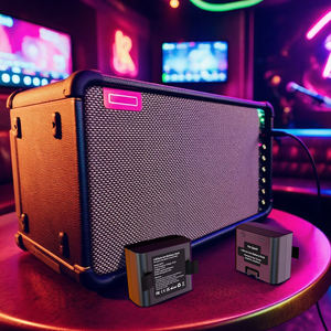 Yeni pozitif izgara kıvılcım pil uyumlu kıvılcım canlı kıvılcım 2 kıvılcım kenar 6000mAh yedek piller stok üst fabrika - Product Image 6