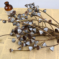 Fleurs d'eucalyptus séchées de haute qualité, fabriquées à partir de fleurs fraîches 100% naturelles, prix d'usine