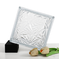 Vente directe d'usine maison Art carreaux de mur décoration Transparent brique creuse carré porche cloison bloc de verre