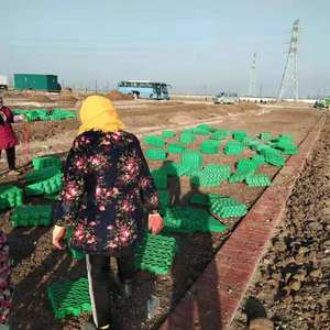 شبكة عشب بلاستيكية عالية الجودة من البولي إيثيلين عالي الكثافة قابلة لإعادة التدوير بالكامل لمواقف السيارات والممرات من مصنع صيني - Product Image 3