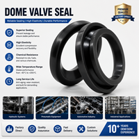 Joint d'étanchéité gonflable en silicone FKM75 résistant à la chaleur avec logo personnalisé pour soupape haute pression et moteur hydraulique – Vente en gros