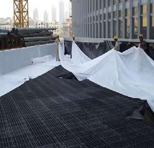 Tapis de drainage en plastique HDPE/tapis de drainage en plastique 30mm pour le drainage du jardin et la protection des murs - Product Image 6