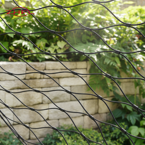 Eco Friendly Anti Corrosion Weather Resistant Green Wall Trellis Bridge Fence Customized Size Premium Quality Stainless Steel Ro - Product Image 2