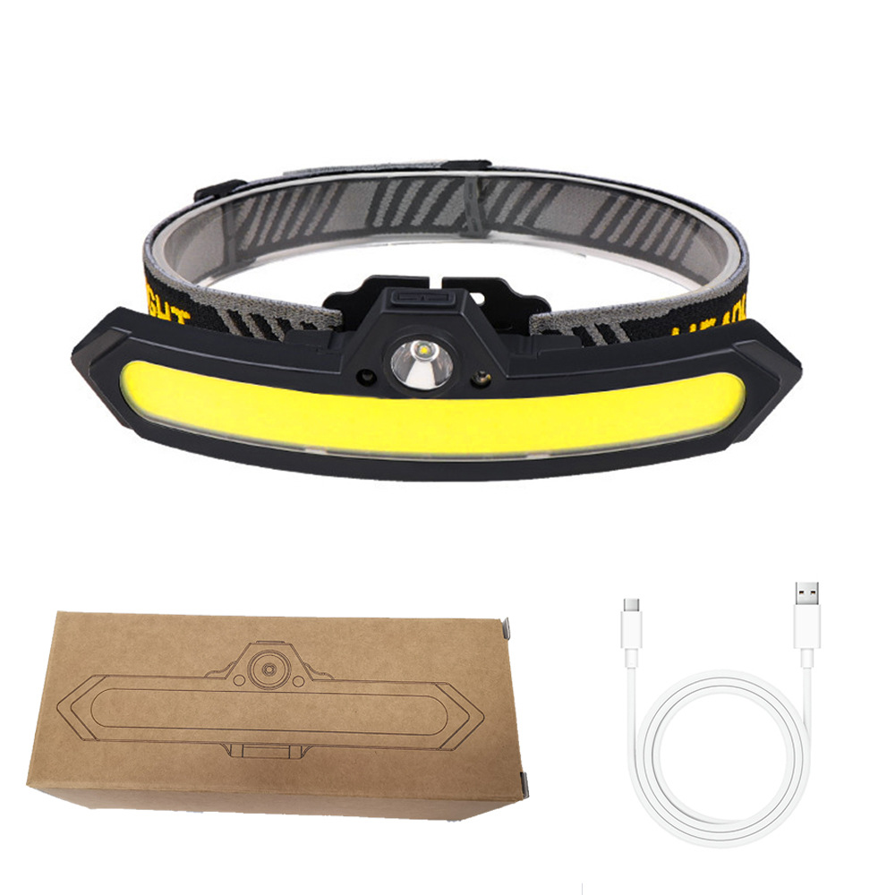 C16 (built-in battery) sensor model