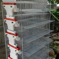 La production de masse et les ventes de haute qualité A et H type couche de caille cage prix le plus bas