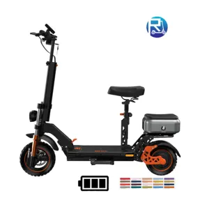 Nuovo 2022 unità personalizzata per il corpo adulto ruote vendita calda scooter elettrici a due ruote