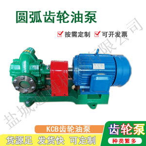 Pompe à engrenages circulaires Eboton YCB600 55L/min, pompe rotative auto-amorçante électrique pour transfert de produits chimiques, corps en fonte, acier inoxydable 304 - Product Image 4
