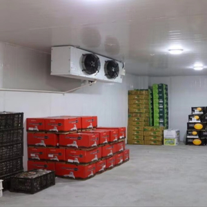 Đi bộ lớn trong Máy làm lạnh và kho đông lạnh cho hậu cần kho lạnh công nghiệp - Product Image 1