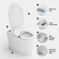 Toilette intelligente non électrique en céramique avec bidet intégré, chasse d'eau manuelle, toilette monobloc