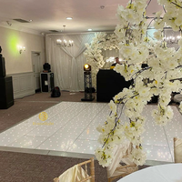 16x16ft White Black Starlit Starling Dance Floor Wedding Acrylic Panel Metal Body LED Dance Floor Tiles