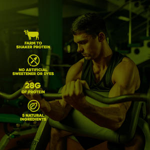 Meilleure qualité isolat de lactosérum poudre de protéine soutien Calcium récupération améliorer la croissance musculaire soutien longévité et santé poudre - Product Image 3