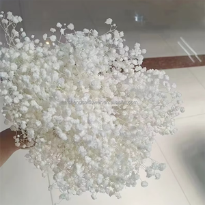 Ghirlande e Piante Floreali <span class=keywords><strong>Decorative</strong></span> Mini Fiori Stabilizzati Nebbiolina Fiori Secchi Ghirlande Bianche Bouquet Gypsophila YFM - Product Image 2