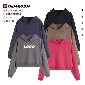Autumn Winter Style Short Women's <b>Hoodie</b> Clothing Fashion Leisure Casual Comfortable <b>Thin</b> Sweatshirt Embroidery Custom Lgoo - Product Image 4