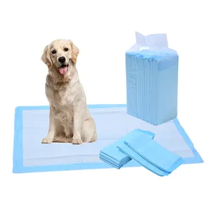 Premium Quality Disposable Blue Pet Pee Pads Suitable for Many Occasions