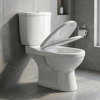 Articles sanitaires de marque Indian Vistaar Piège à toilettes en deux pièces, type de pulvérisation en céramique petites toilettes pour raccord de salle de bain pour enfants