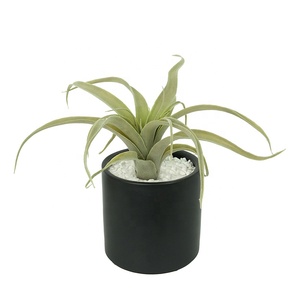 High Quality <strong>Large</strong> Flocked Succulent <strong>Fake</strong> Grass Tillandsia Artificial <strong>Plant</strong> for Decoration - Product Image 4