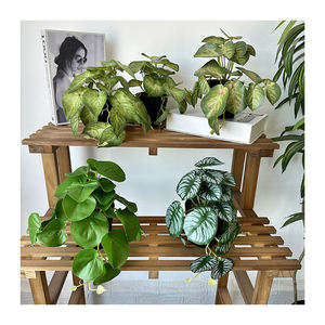 QYY, nuevo producto, planta Artificial de rábano verde con maceta de plástico, decoraciones de escritorio para el hogar para Navidad, graduación, adornos de Año Nuevo - Product Image 1