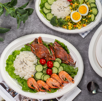 Assiette ronde en bagasse de canne à sucre de 8,86 pouces, résistante à la graisse, compatible micro-ondes, compostable