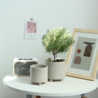 Pot de cactus de pots de plantes vertes de ciment de haute qualité avec des jambes en bois pour la décoration de jardin à la maison