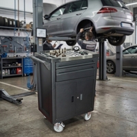 Armoire à outils roulante robuste à 2 tiroirs avec grande porte double et rangement mobile pour garage et atelier