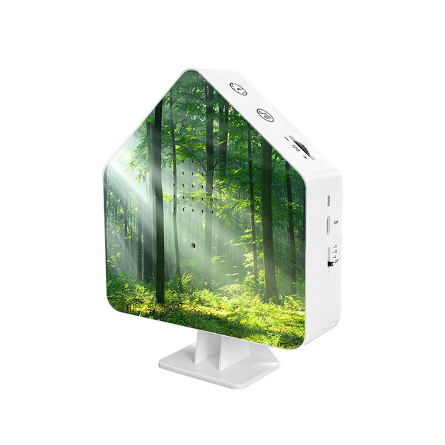 Smart Rechargeable Bird Sound Box With Light Motion Activation Wireless Bird Call Box Customize Printing Pattern Night Light