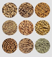 Comment utiliser correctement la petite machine de granulateur d'alimentation Faire des granulés à la maison avec des avantages de granulés