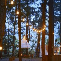 NBTOP Fournitures de Décoration de Noël, Guirlande Lumineuse LED en PVC Robuste de Qualité Supérieure, Classée IP65, pour Entrepôt et Jardin, Garantie 1 An